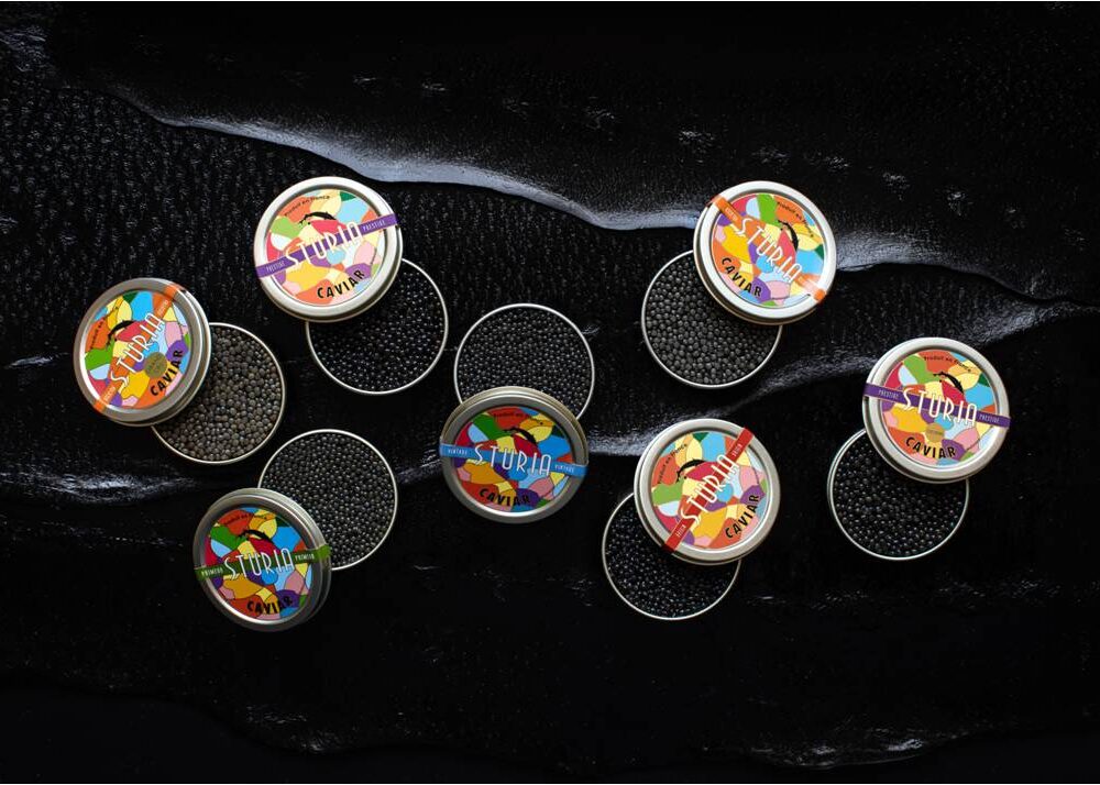 Caviar Sturia